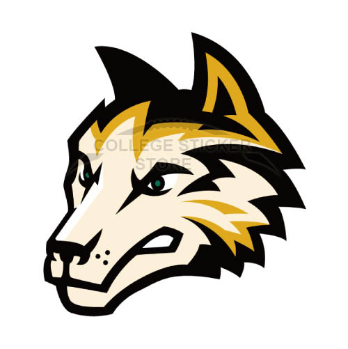 Diy Wright State Raiders Iron-on Transfers (Wall Stickers)NO.7056